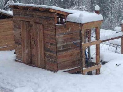 Preparing to Homestead, Part 2 Image